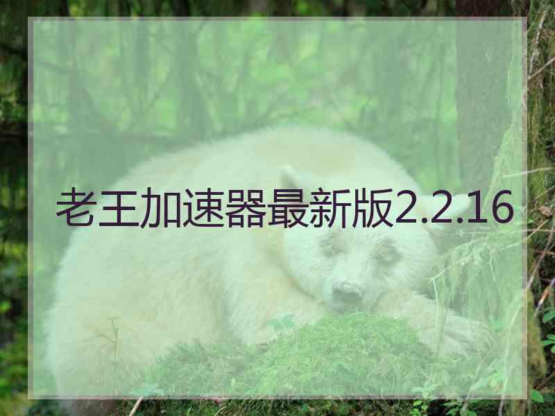 老王加速器最新版2.2.16