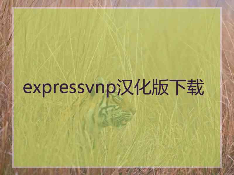 expressvnp汉化版下载