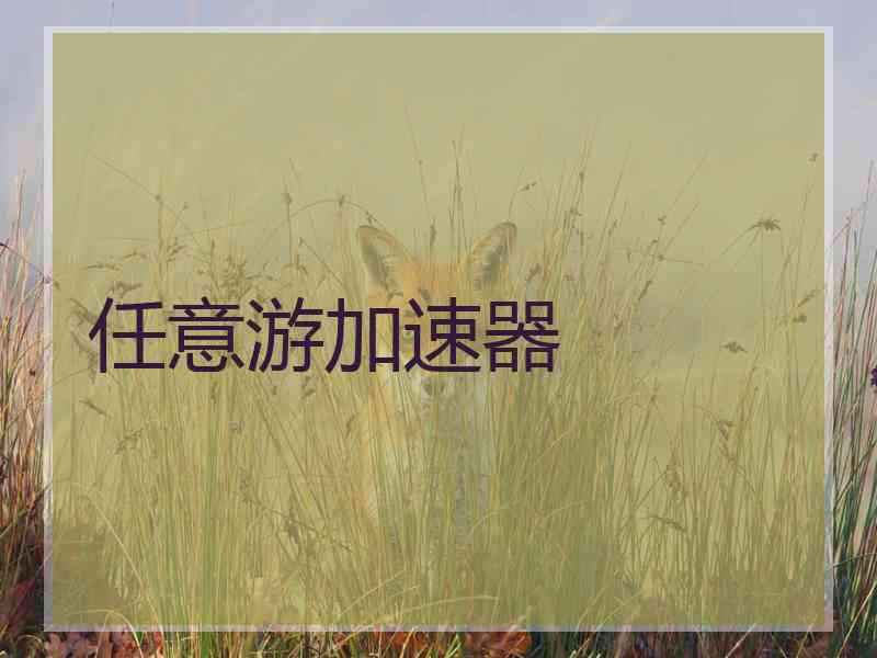 任意游加速器