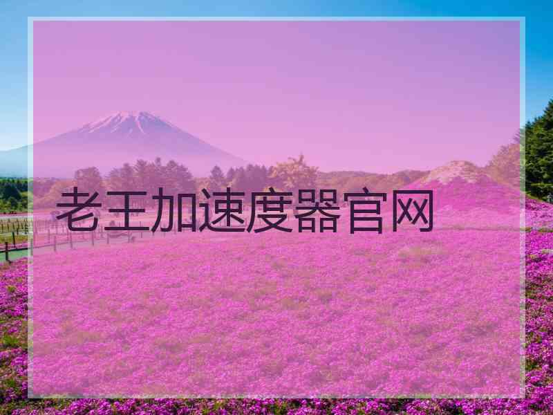 老王加速度器官网