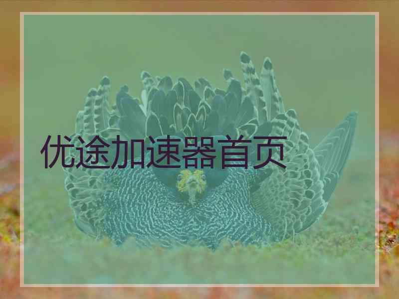 优途加速器首页