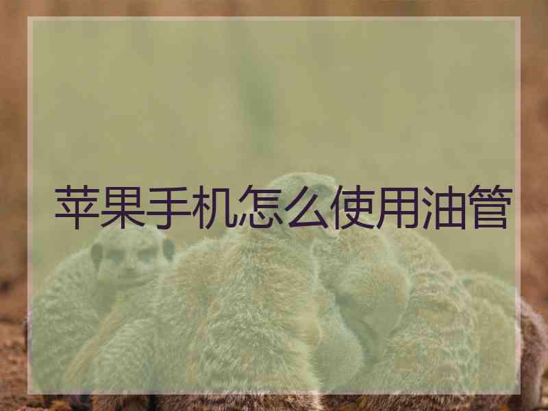 苹果手机怎么使用油管