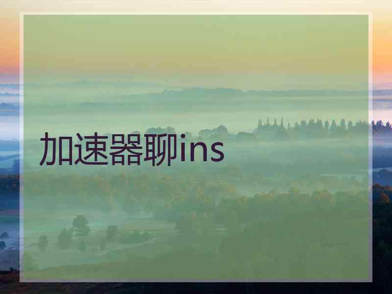 加速器聊ins