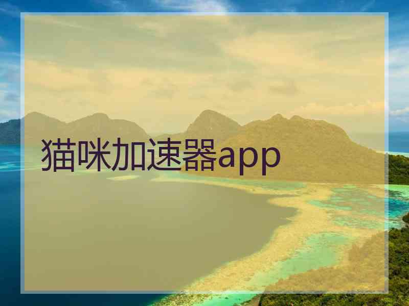 猫咪加速器app