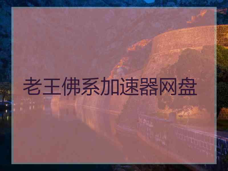 老王佛系加速器网盘