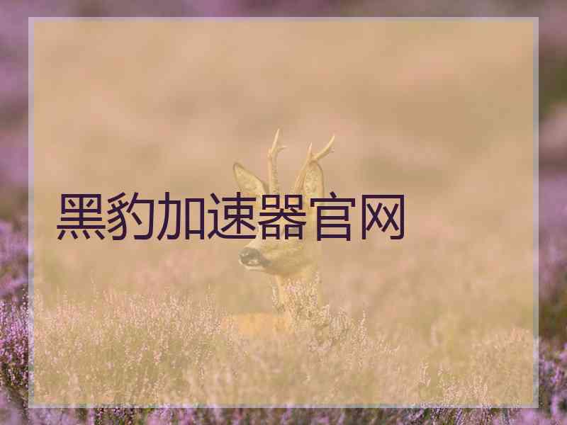 黑豹加速器官网