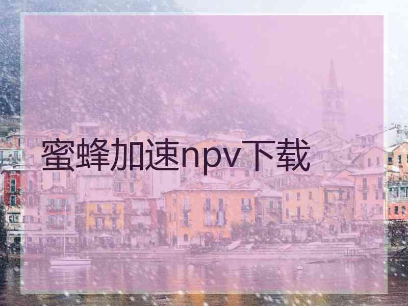 蜜蜂加速npv下载