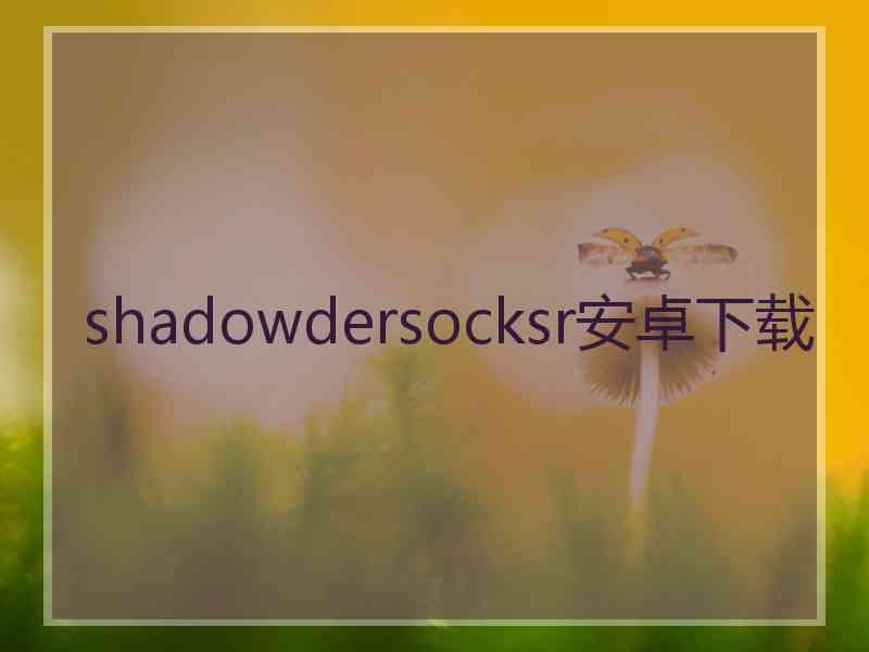 shadowdersocksr安卓下载