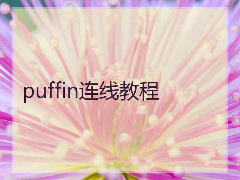 puffin连线教程