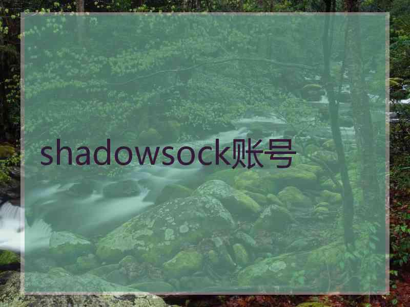 shadowsock账号