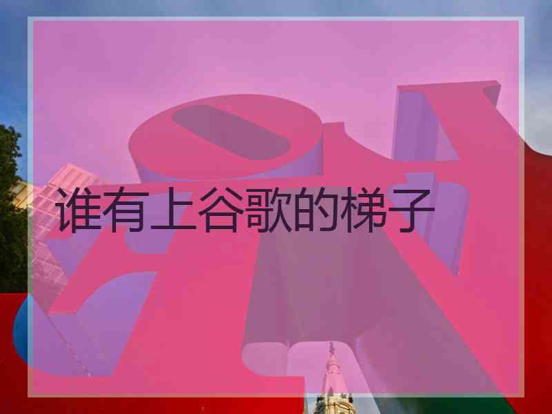 谁有上谷歌的梯子