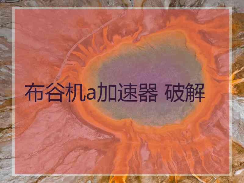 布谷机a加速器 破解