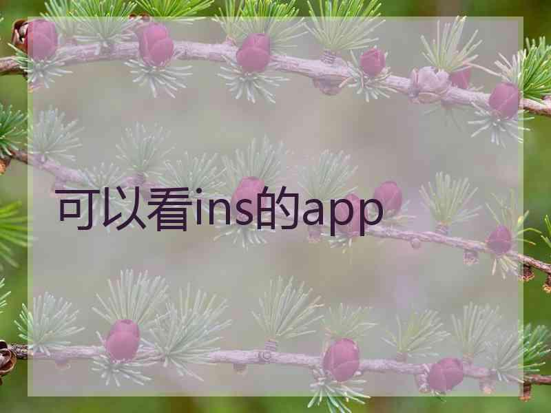可以看ins的app