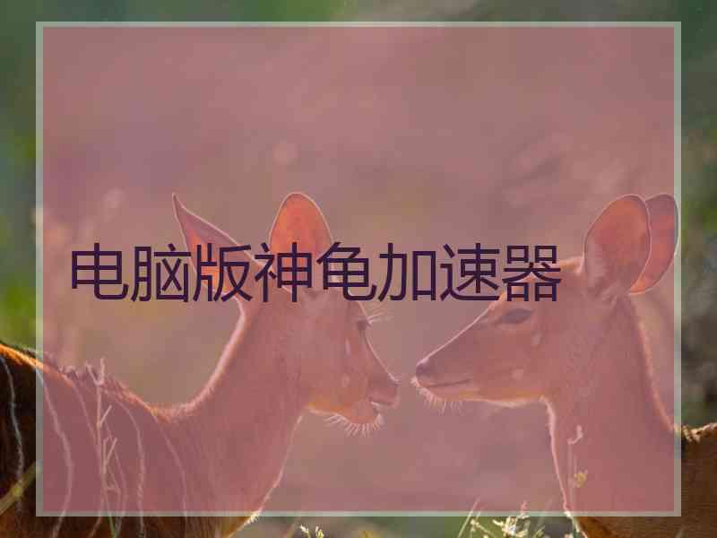 电脑版神龟加速器
