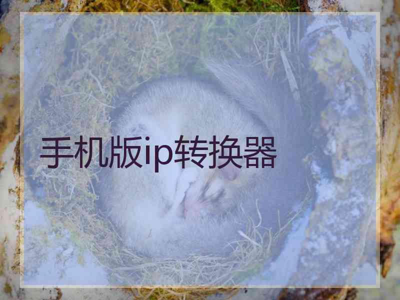 手机版ip转换器