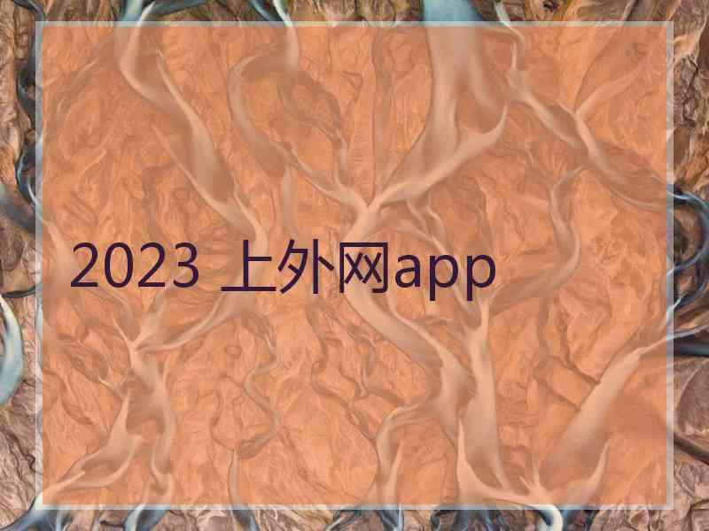 2023 上外网app