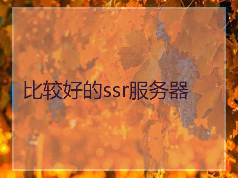 比较好的ssr服务器