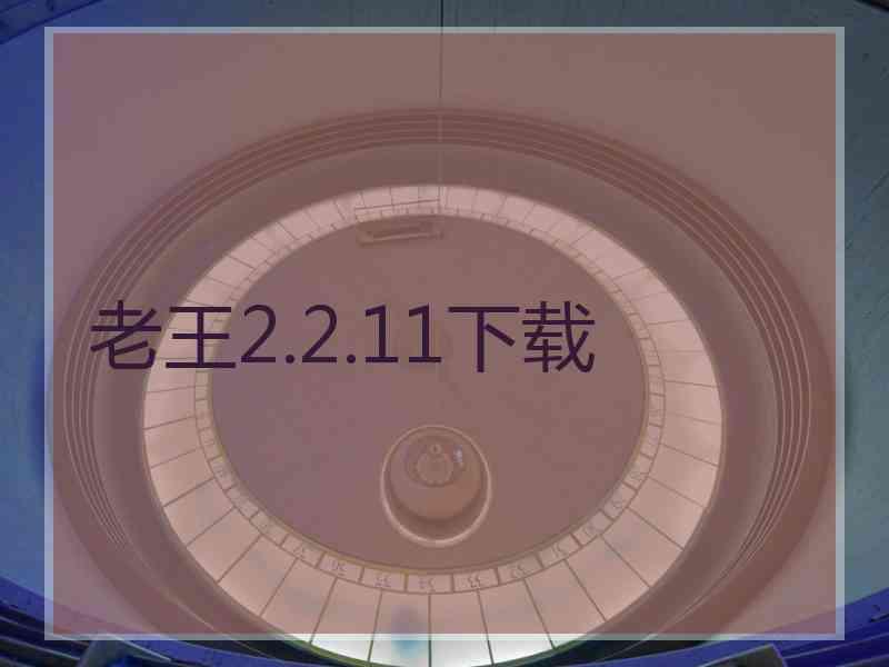 老王2.2.11下载