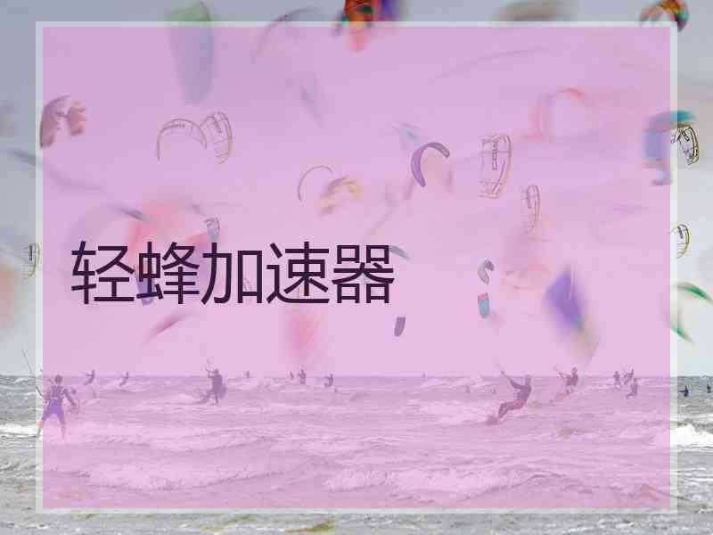 轻蜂加速器
