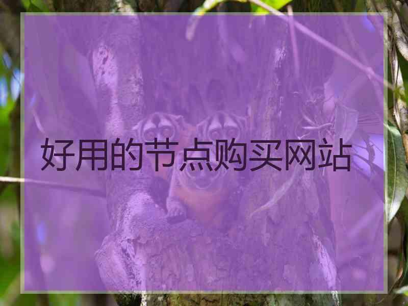 好用的节点购买网站