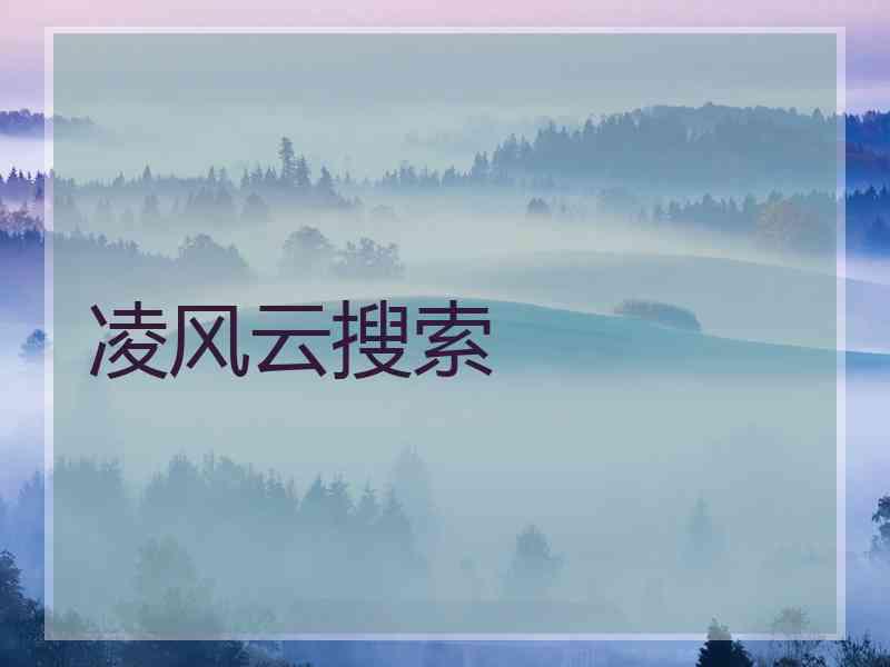 凌风云搜索