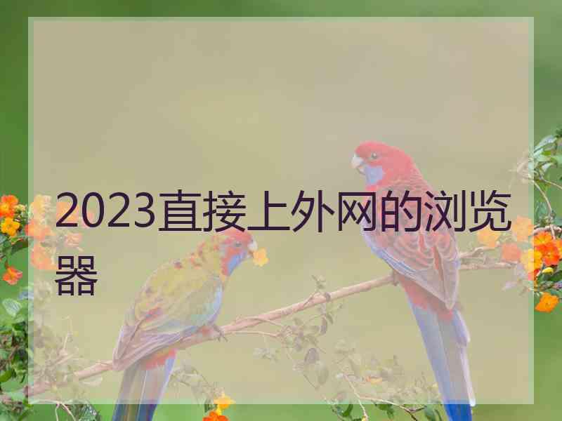 2023直接上外网的浏览器