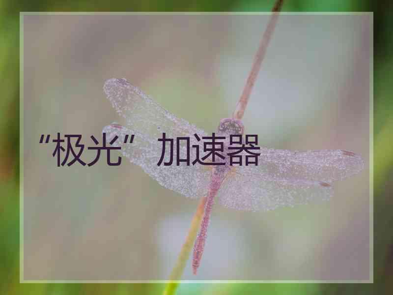 “极光”加速器