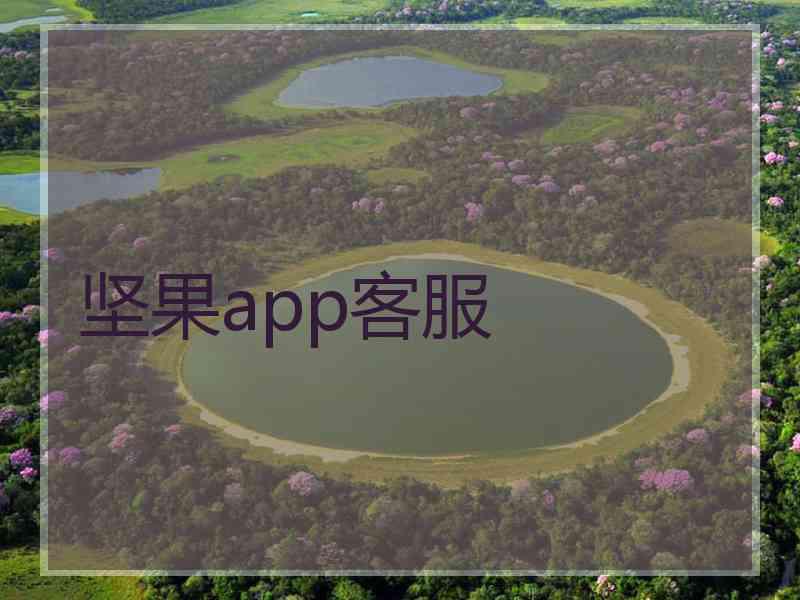 坚果app客服
