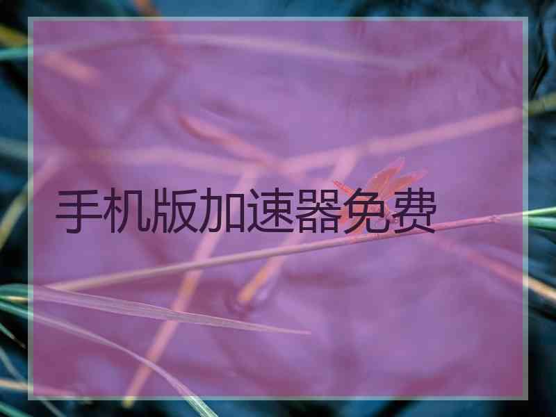 手机版加速器免费
