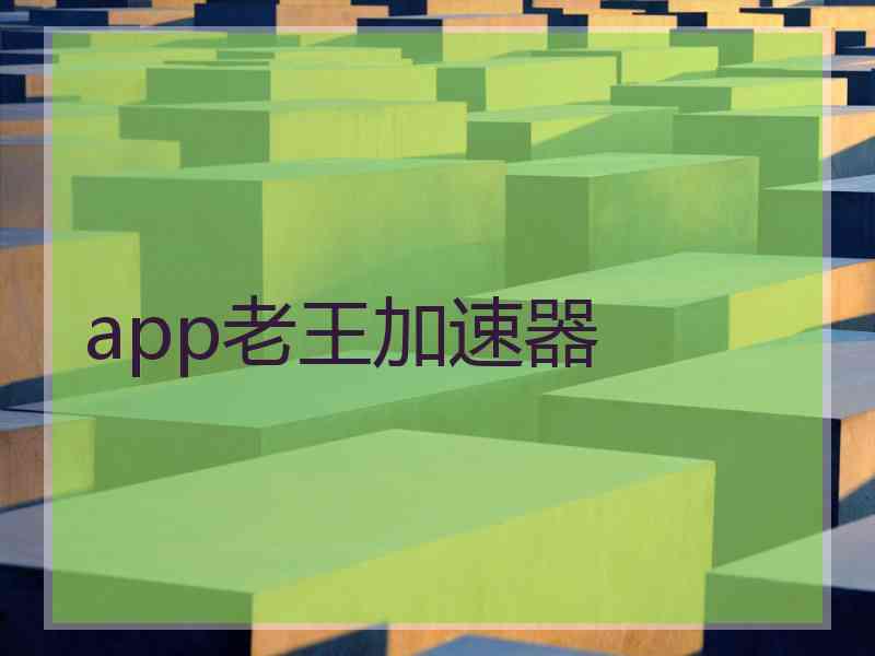 app老王加速器