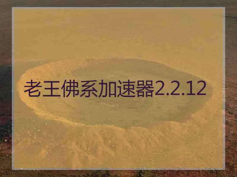 老王佛系加速器2.2.12