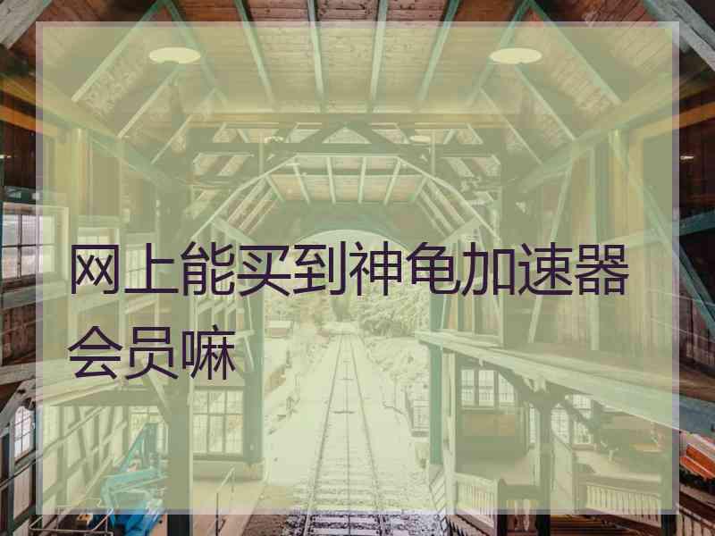 网上能买到神龟加速器会员嘛
