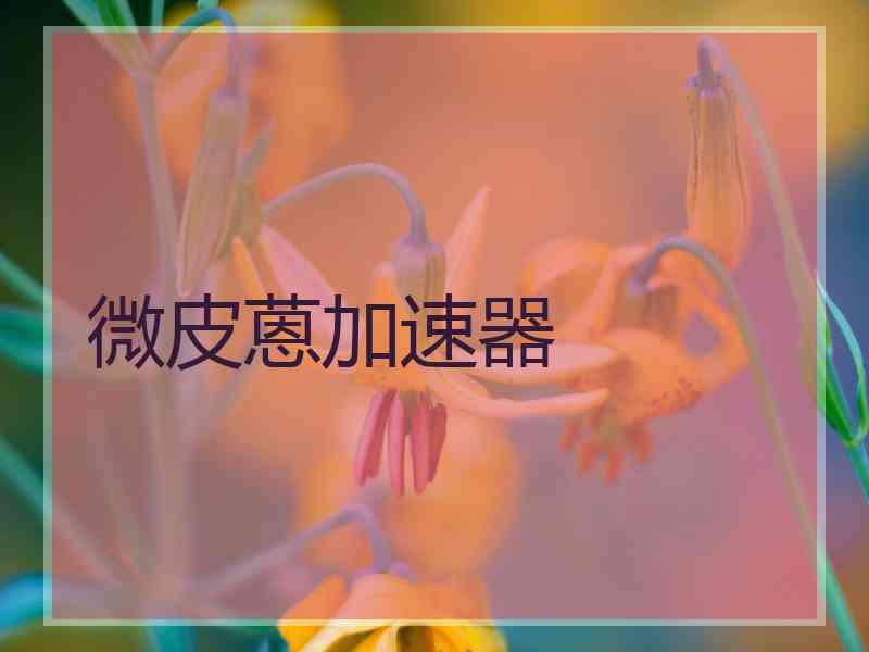 微皮蒽加速器
