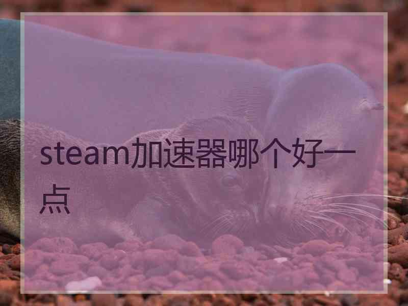 steam加速器哪个好一点
