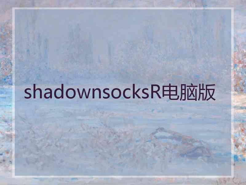 shadownsocksR电脑版