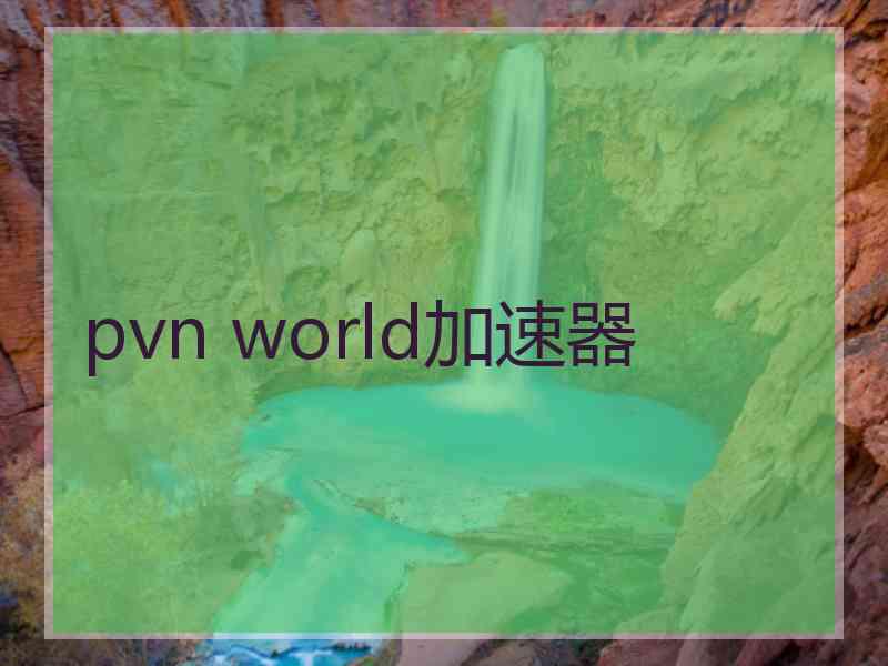 pvn world加速器
