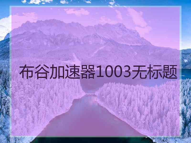 布谷加速器1003无标题
