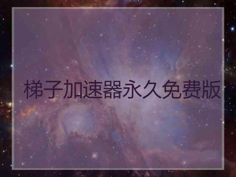 梯子加速器永久免费版