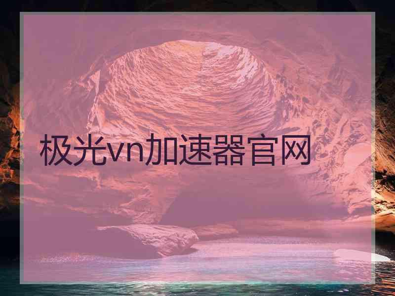 极光vn加速器官网