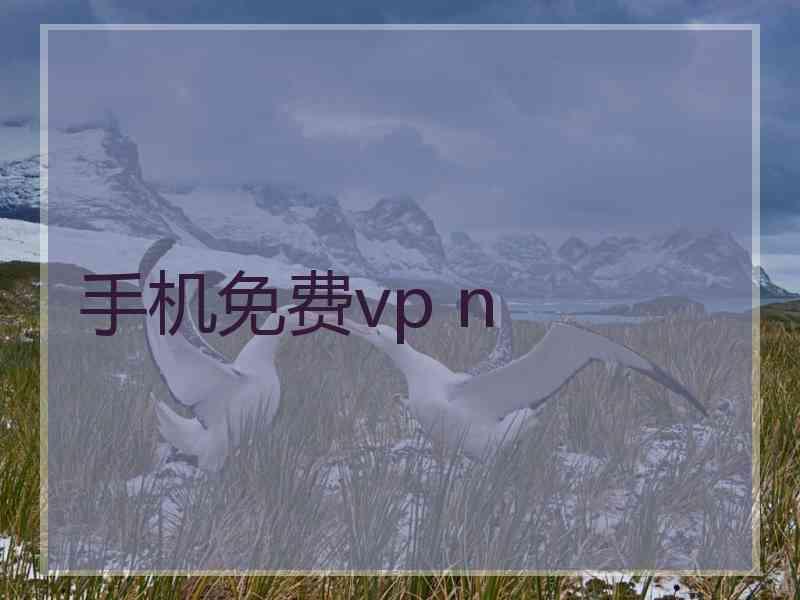 手机免费vp n