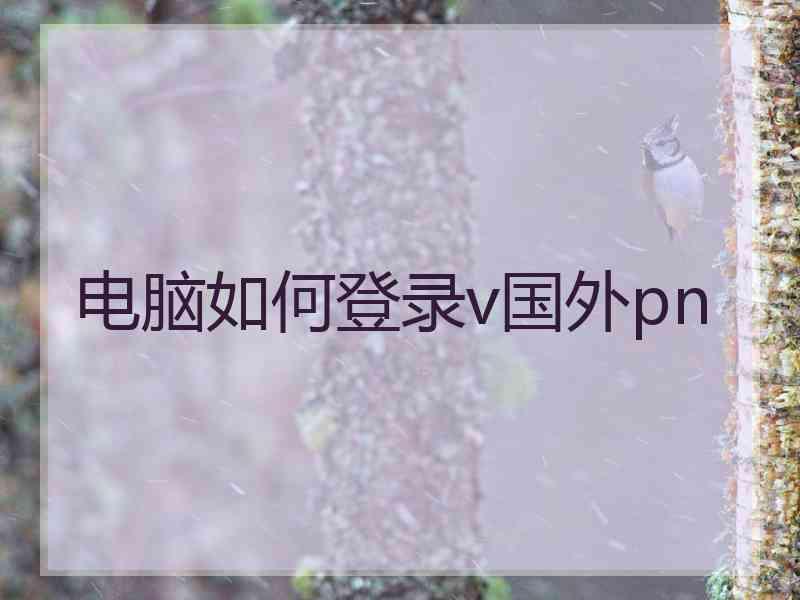电脑如何登录v国外pn