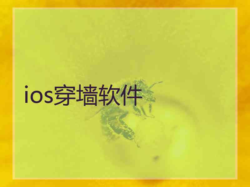 ios穿墙软件