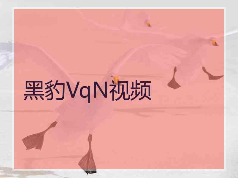 黑豹VqN视频
