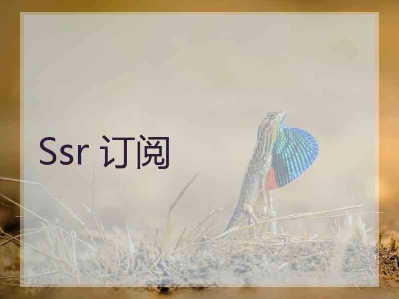 Ssr 订阅
