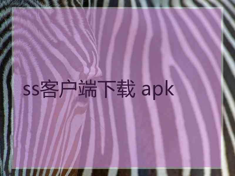 ss客户端下载 apk