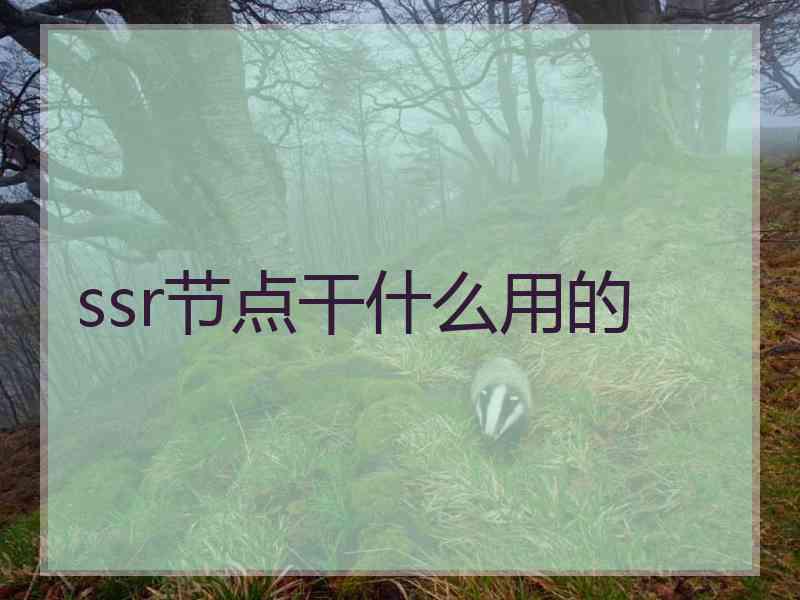 ssr节点干什么用的
