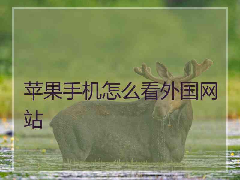 苹果手机怎么看外国网站