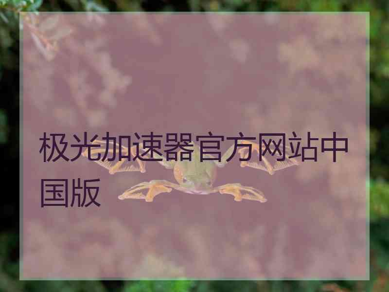 极光加速器官方网站中国版