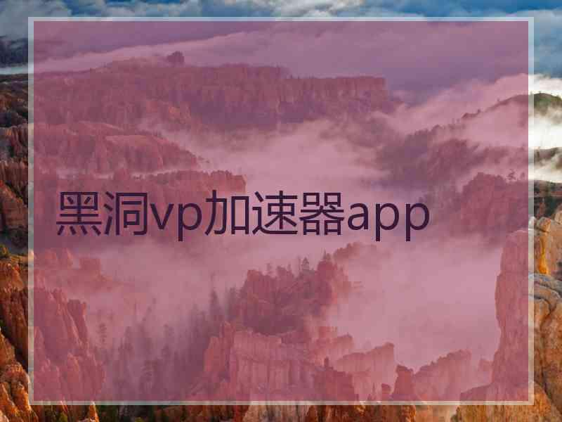 黑洞vp加速器app