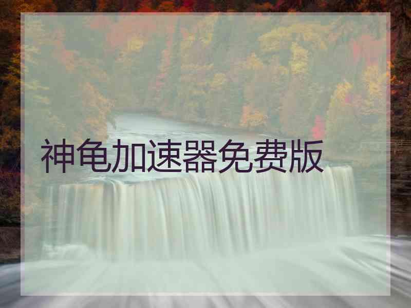 神龟加速器免费版